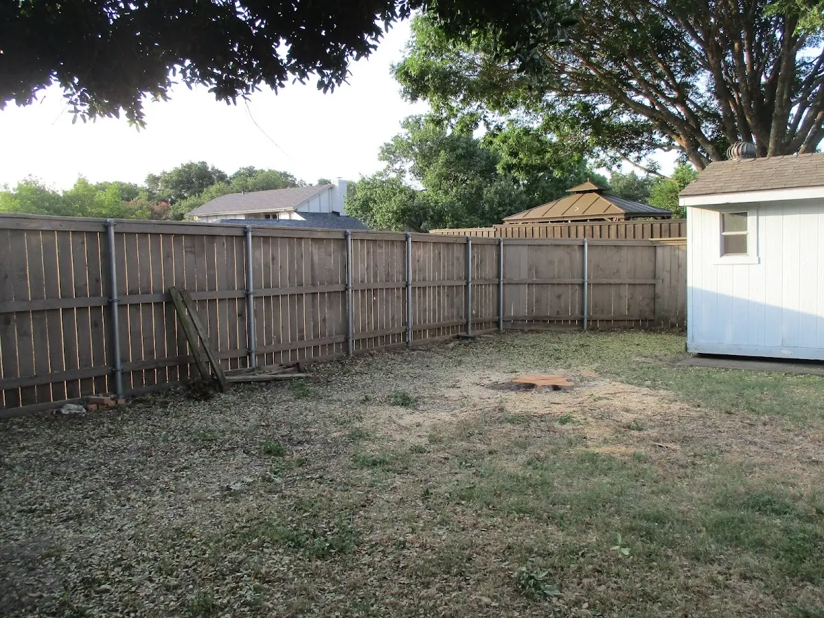 Cleared yard after professional tree removal in Pecatonica