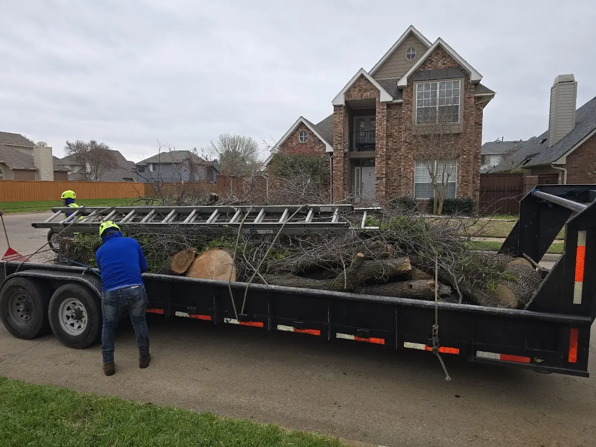 Expert Tree Pest Control with proper safety equipment in Pecatonica